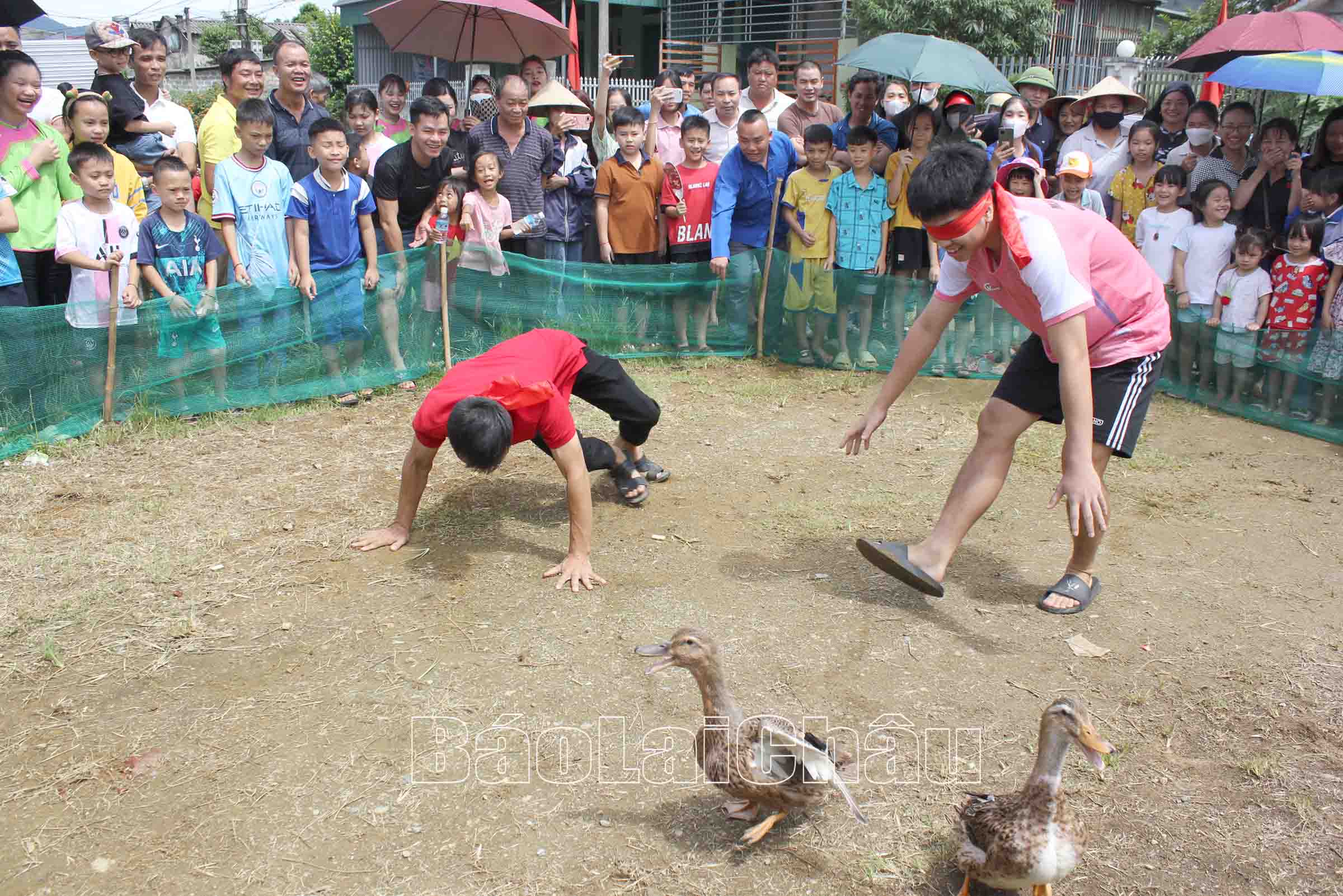 Trò chơi bắt vịt.